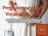 Pregnancy and Birth Vocabulary Google Slides