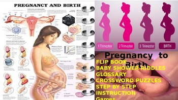 Preview of Pregnancy  to Birth Quick Reference