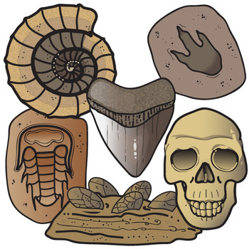 Prehistoric Fossils Clip Art Set by The Painted Crow | TPT