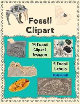 Preview of Fossil Clip Art: Prehistoric Plant & Animal Images and Labels NGSS