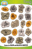 Prehistoric Plant and Animal Fossils Clipart {Zip-A-Dee-Do