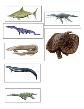 prehistoric sea animals
