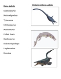 Prehistoric Sea Life 3 Part Cards - Timeline of Life