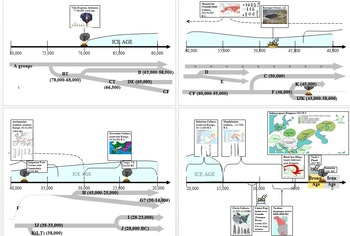 Preview of Prehistory Materials