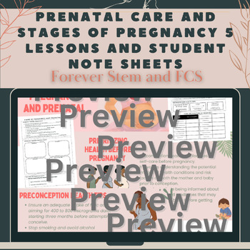 Preview of Prenatal Care and Stages of Pregnancy 5 Lessons and Student Note Sheets-CTE