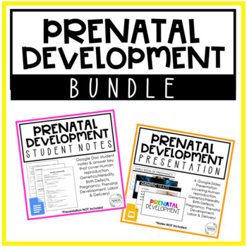 Preview of Prenatal Dev Unit Presentation & Notes | BUNDLE | Child Development | FCS