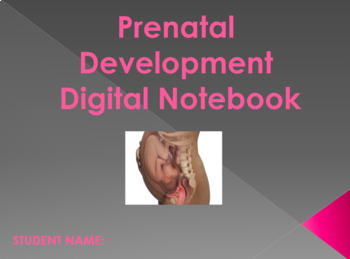 Preview of Prenatal Development Interactive Digital Notebook