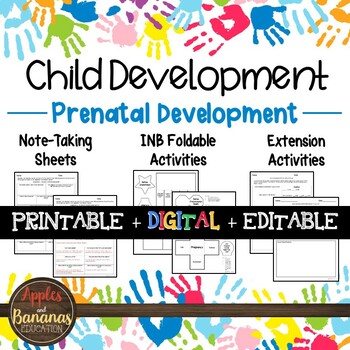Preview of Prenatal Development - Interactive Note-taking Activities