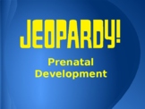 Prenatal Development Jeopardy Game