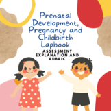 Prenatal Development, Labor and Childbirth Lapbook