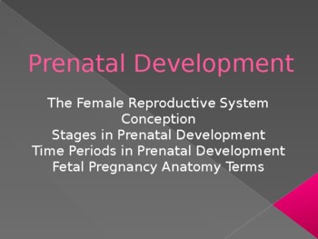 Preview of Prenatal Development Powerpoint