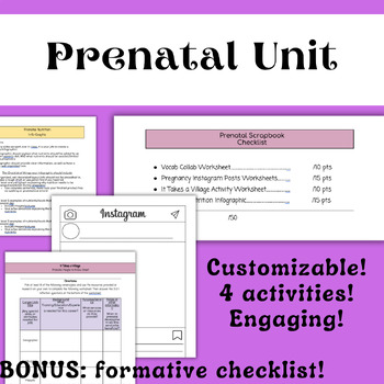 Preview of Prenatal Development Unit Activities