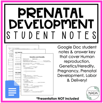Preview of Prenatal Development Unit Notes | Google Docs | Child Development | FCS