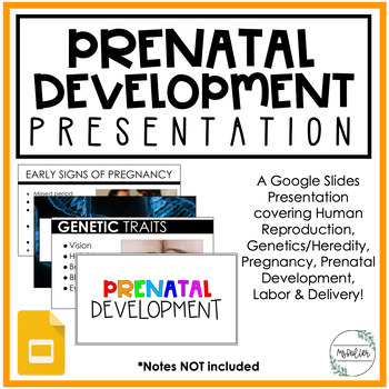 Preview of Prenatal Development Unit Presentation | Google Slides | Child Development | FCS