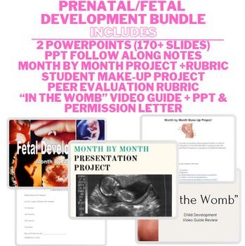 Preview of Prenatal/Fetal Development Bundle