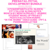 Prenatal/Fetal Development Bundle