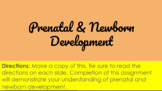 Prenatal and Newborn Development