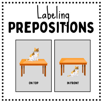 Preview of Preposition Flash Cards - With/ Without Labels