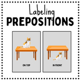 Preposition Flash Cards - With/ Without Labels