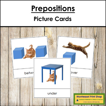 Preview of Preposition Picture Cards (Cat) - Primary Montessori Grammar