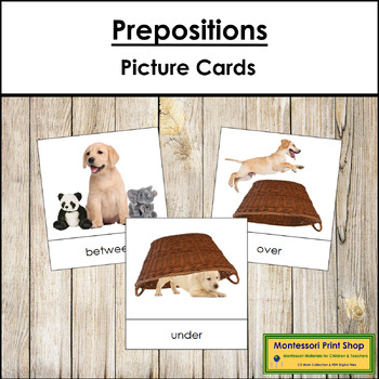 Preview of Preposition Picture Cards (Dog) - Primary Montessori Grammar