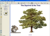 Prepositions Activity - Squirrel & Tree