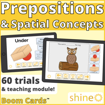 Preview of Prepositions & Spatial Concepts, Locations & Positions, Prepositional Phrases