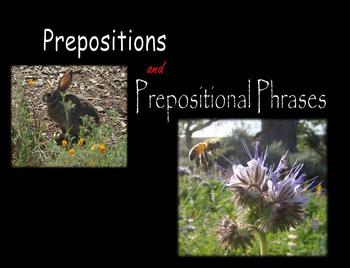 Preview of Prepositions and Prepositional Phrases PowerPoint - Animals and Plants