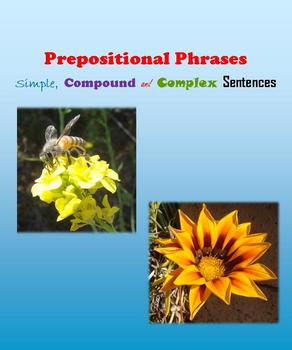 Preview of Prepositions and Prepositional Phrases - Simple, Compound and Complex Sentences