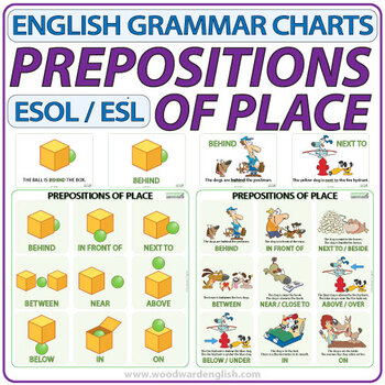 Preview of Prepositions of Place - ESL Charts