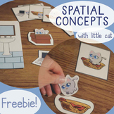 Spatial Concepts with Little Cat (receptive prepositions)