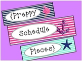 Preppy Navy and Pink Editable Schedule Pieces