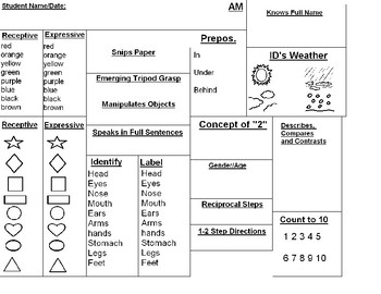 preschool 3 year old assessment sheet by krystal jones tpt