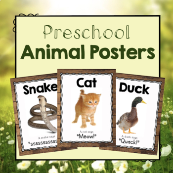 Preview of Animal Posters | Animal Bulletin Board Posters | Animal Classroom Decor