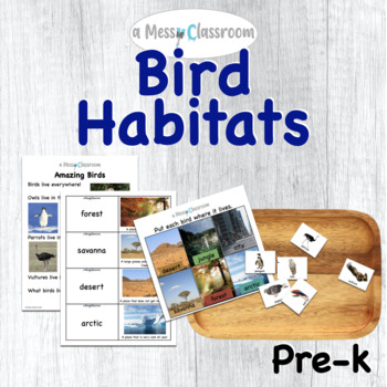 Preview of Preschool Bird Habitats Thematic Unit