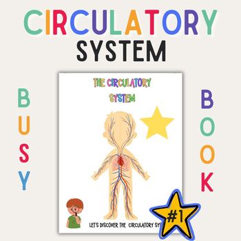 Preview of Preschool Circulatory System Busy Book