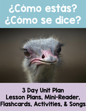 Preschool/Elementary Spanish Book Unit Plan for ¿Cómo se d