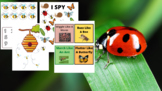 Preschool Insect Math, Fine & Gross Motor Activities