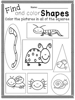 preschool insect worksheets by courageous with crayons tpt