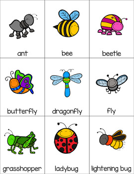 Preschool: Insects Learning Activity pack by Heidi Dickey | TpT