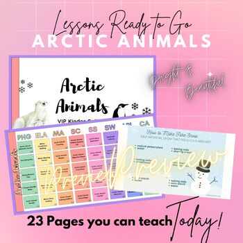 Preview of Preschool Lesson Plan: Arctic Animals
