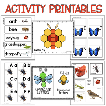 Play Based Preschool Lesson Plans Bugs Thematic Unit | TpT