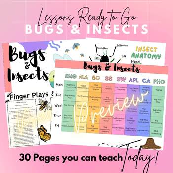 Preview of Preschool Lesson Plans: Bugs & Insects