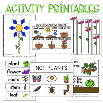 Preschool Lesson Plans- Plants by Lovely Commotion | TpT