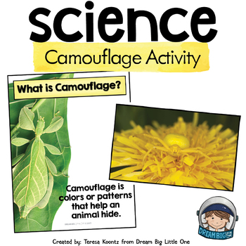 Animal Camouflage Teaching Resources | TPT