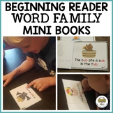 Preschool My First Word Family Mini Books