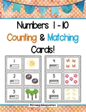 Nature Walk Numbers 1 - 10 Counting and Matching Cards