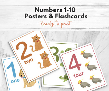 Preview of Preschool Numbers Flash Cards, Numbers Posters, Printable Numbers