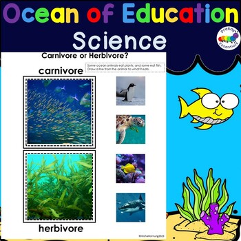 Preview of Preschool Ocean Science Activities