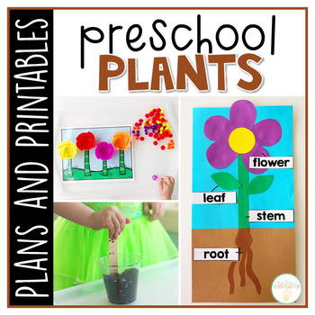 Preschool: Plants Plans and Printables by Mrs Plemons Kindergarten